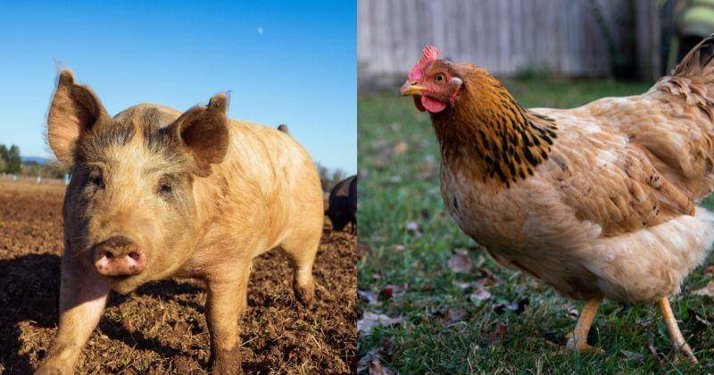 Unsplash/Steven Weeks/Sven Hornburg